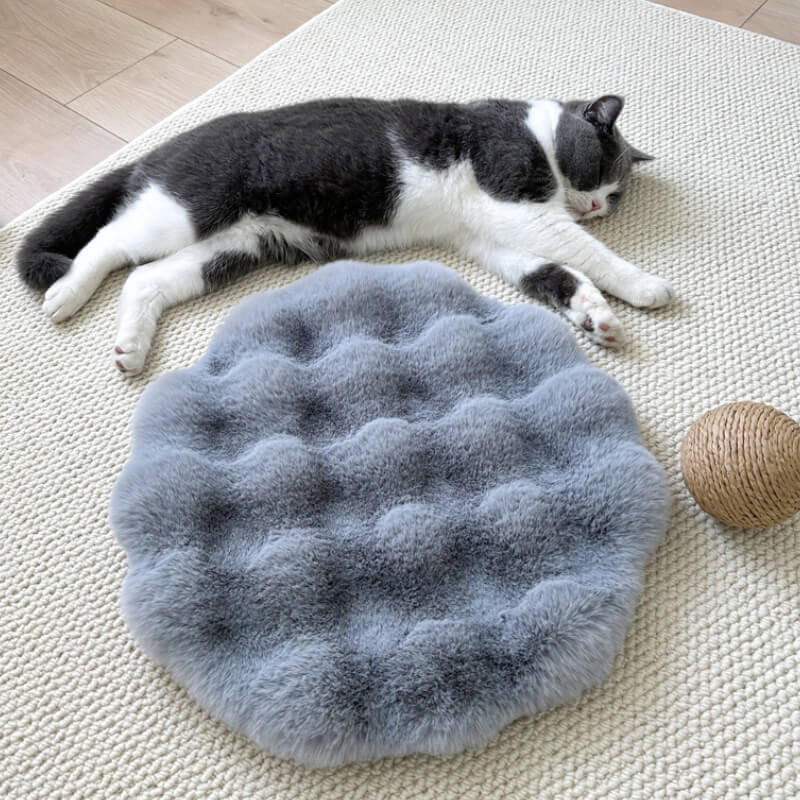 Soft Plush Warm Pet Sleeping Pad Cozy Stylish Easy to Maintain