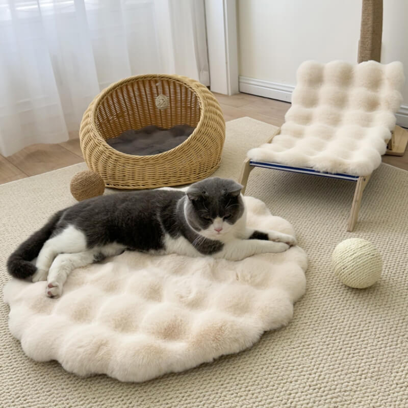 Soft Plush Warm Pet Sleeping Pad Cozy Stylish Easy to Maintain